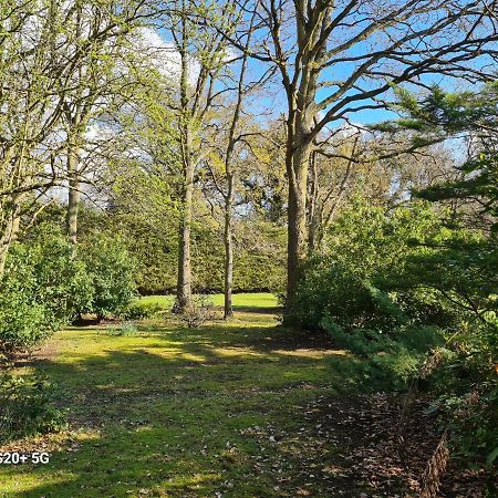 The Reading Whole Chalet With Lake And Two Acre Gardens Eksteriør bilde