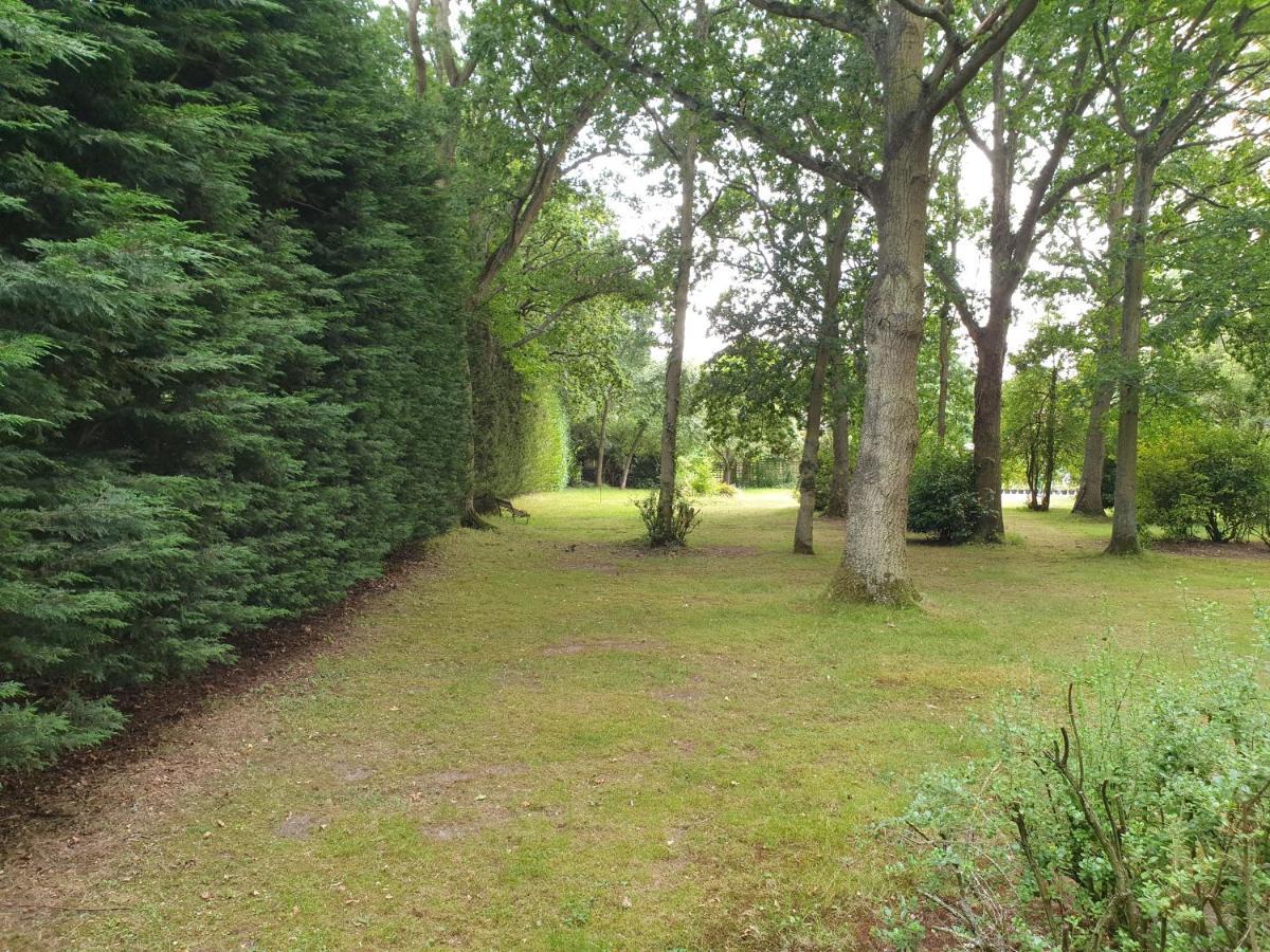 The Reading Whole Chalet With Lake And Two Acre Gardens Eksteriør bilde