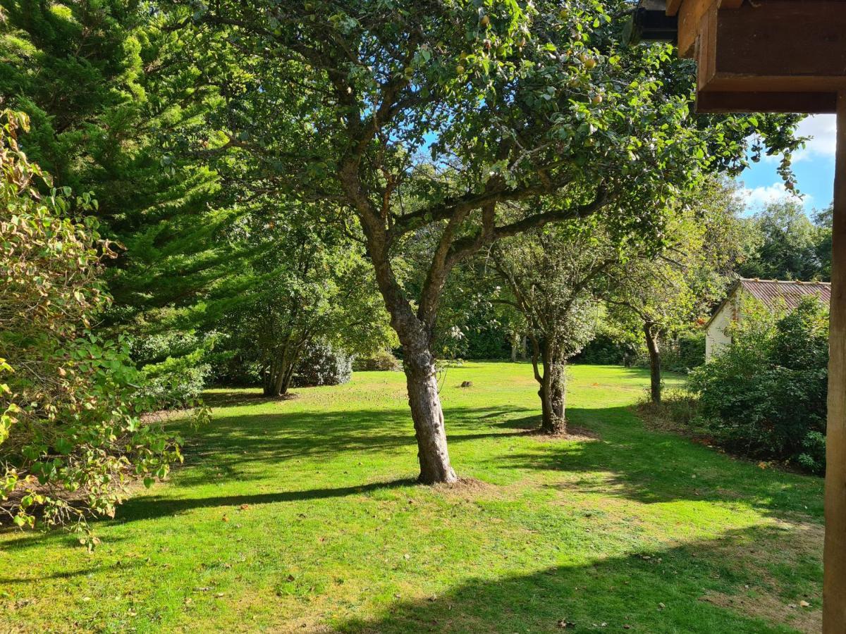 The Reading Whole Chalet With Lake And Two Acre Gardens Eksteriør bilde